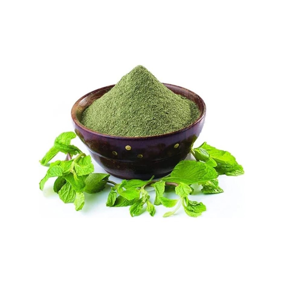 GAGAN MINT LEAVE POWDER 100GM