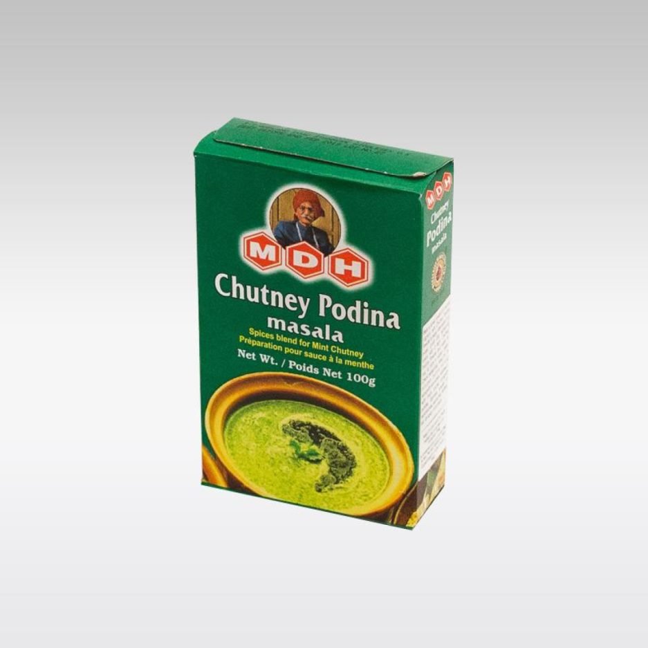 MDH CHUTNEY POODINA 100GM