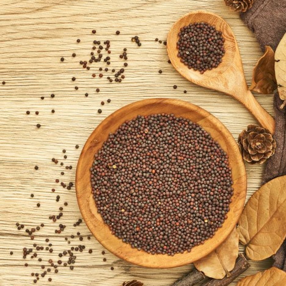 MUSTARD (SARON) SEEDS 1 POUND