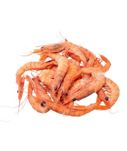 shrimp