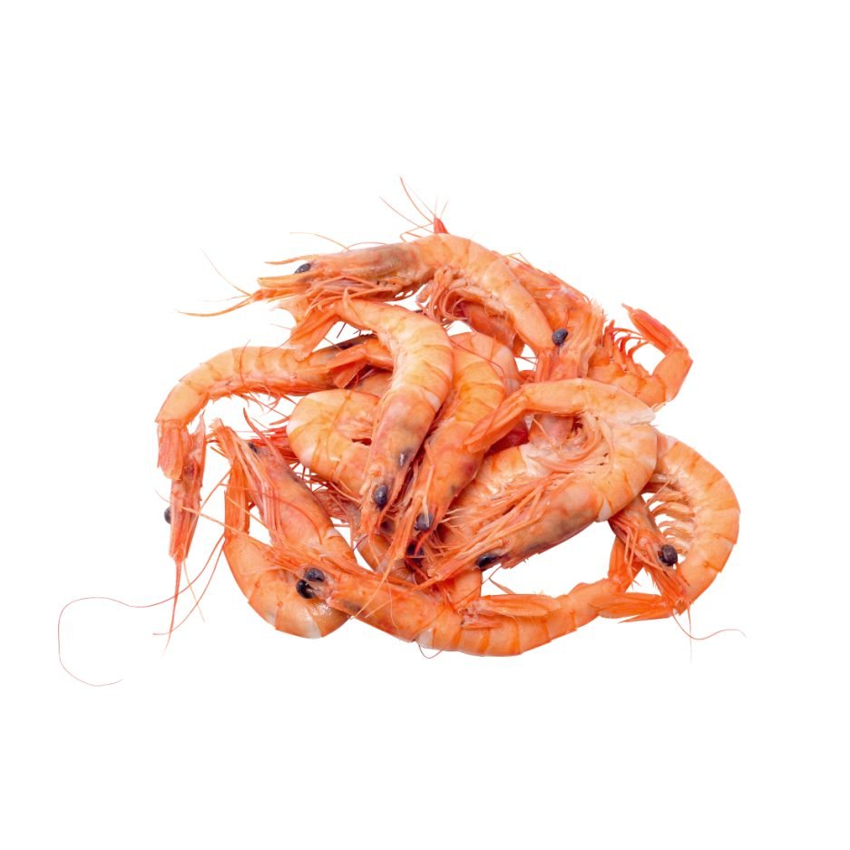 shrimp