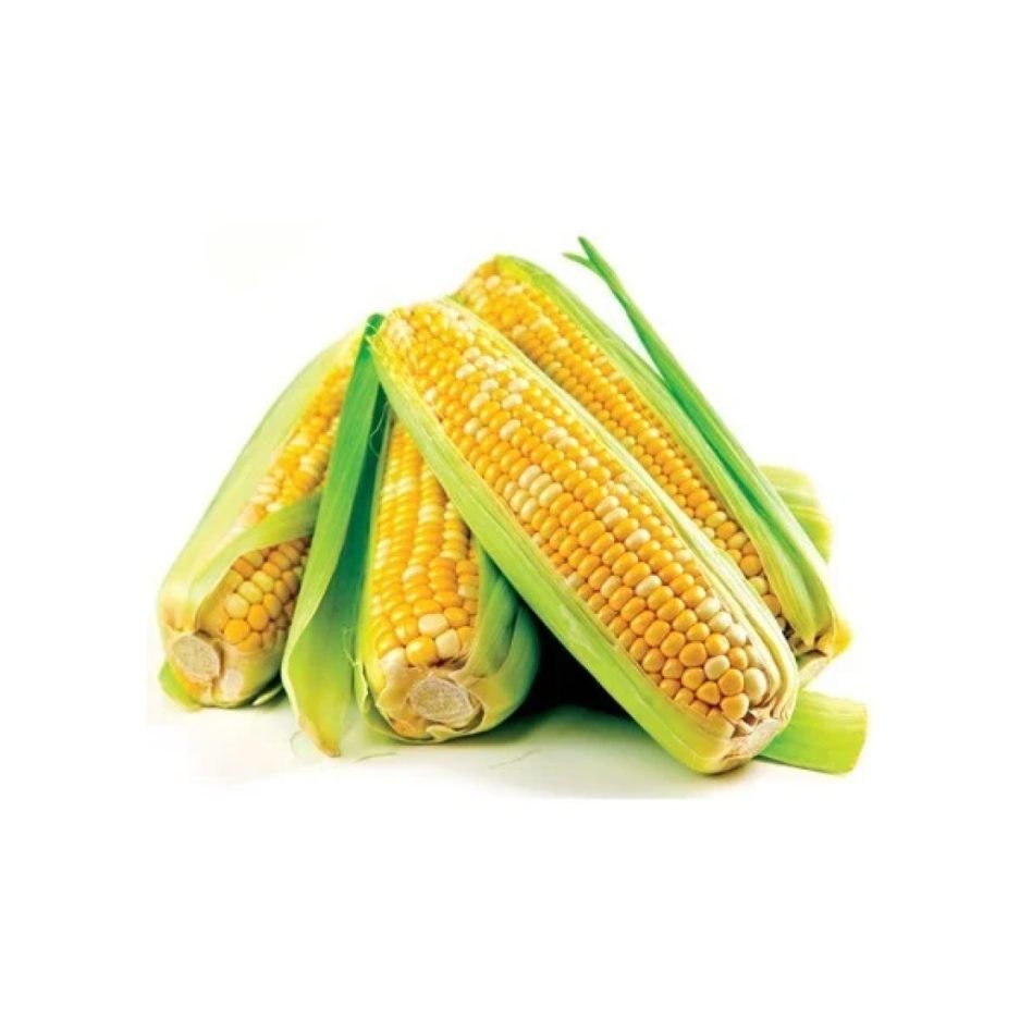 corn whole success 2.84l