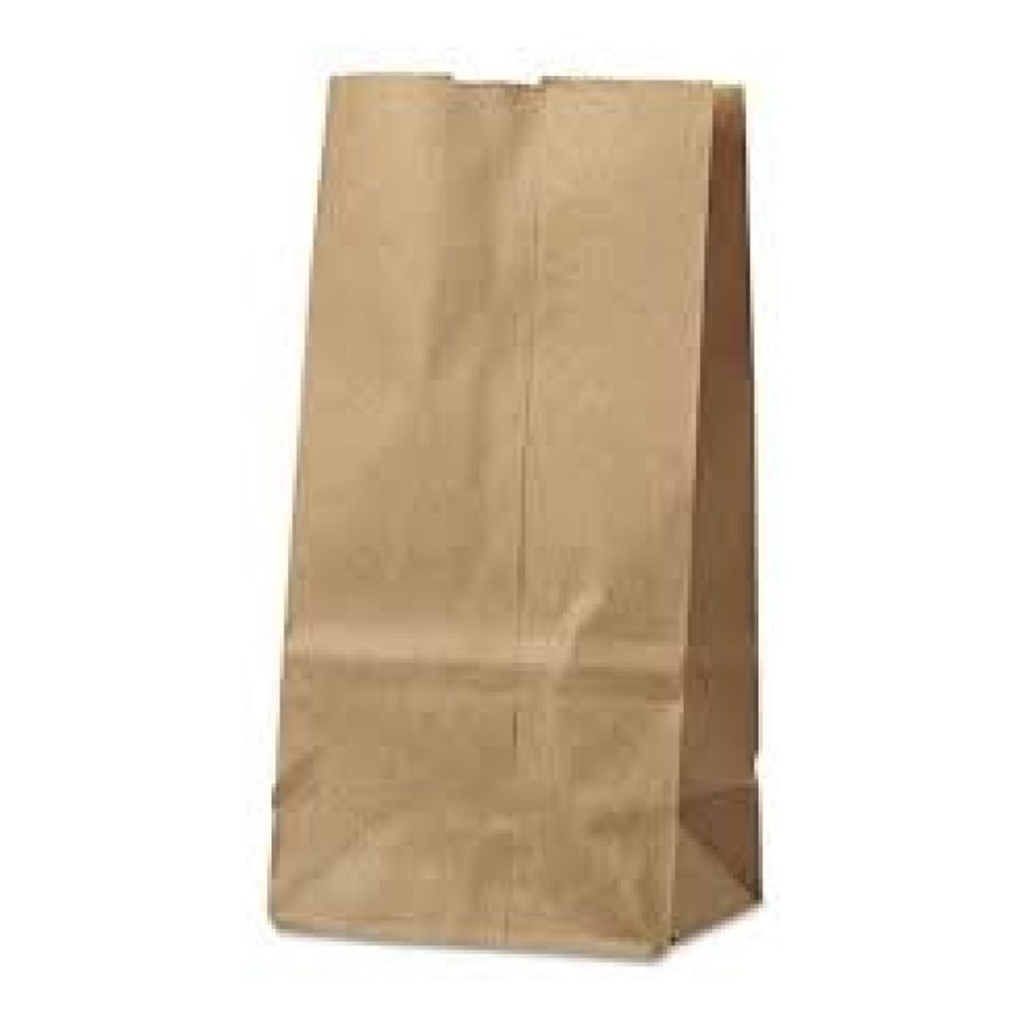 jr 8lb brown bag@500⁄case