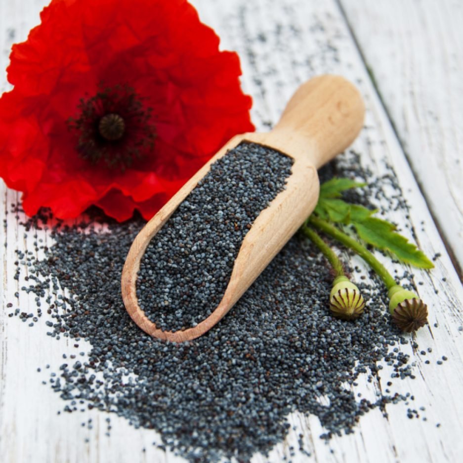 poppy seed 50lb