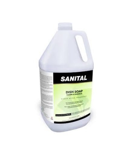 sanital lemon dishsoap detergent 4l